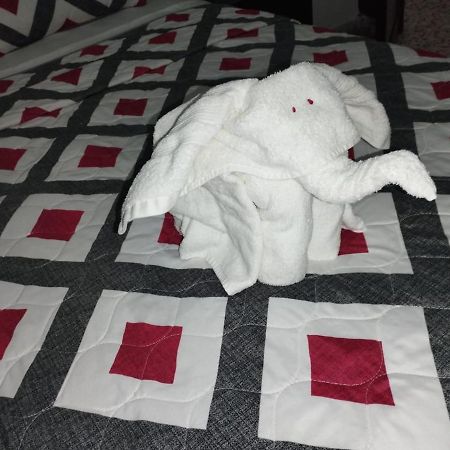Seven Days Hotel San Pedro Sula Luaran gambar